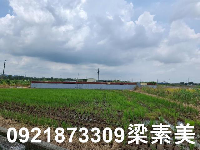 柳營農地-1