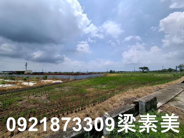 柳營農地-5