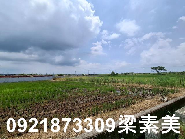 柳營農地-6