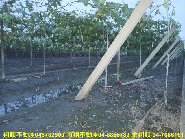 溪湖農地-5