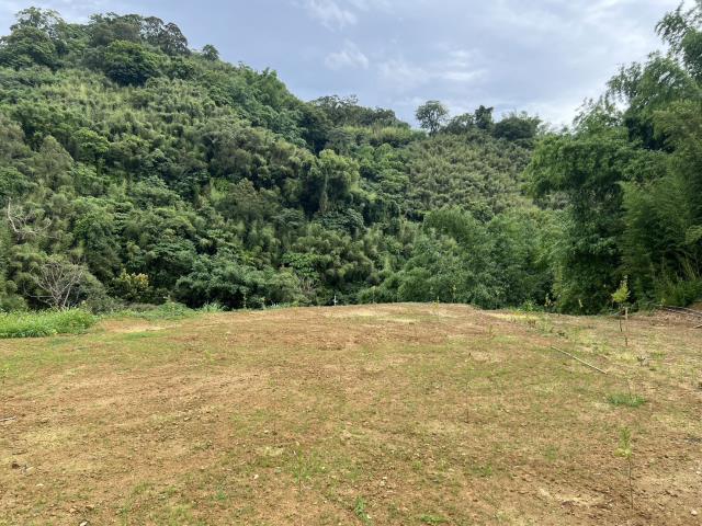 東勢農地-5