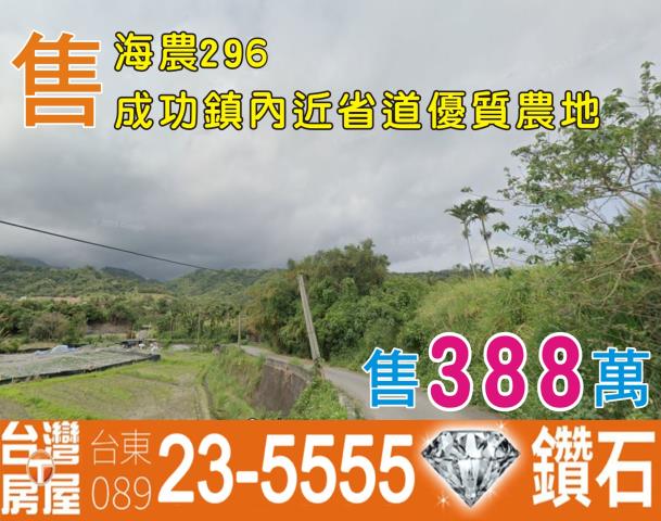 台東農地-0
