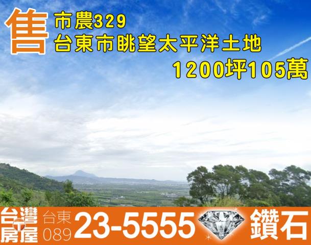 台東農地-0