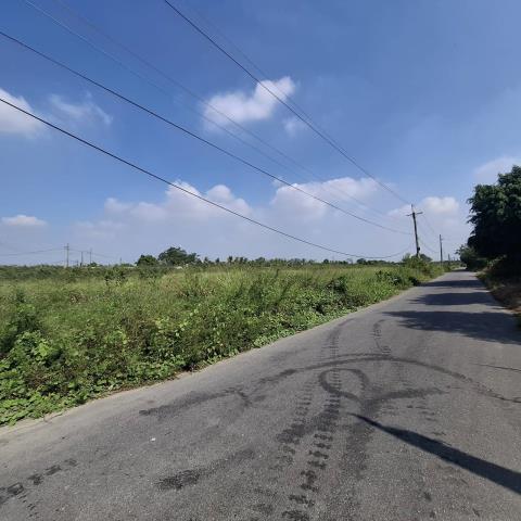 台南新市農地-6