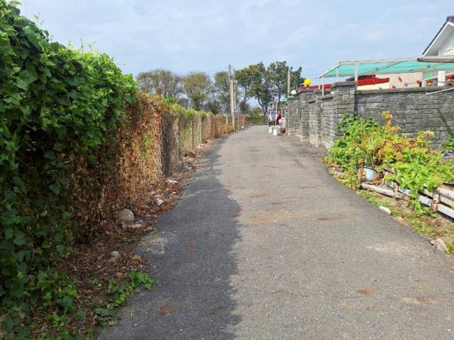 台南麻豆農地-0