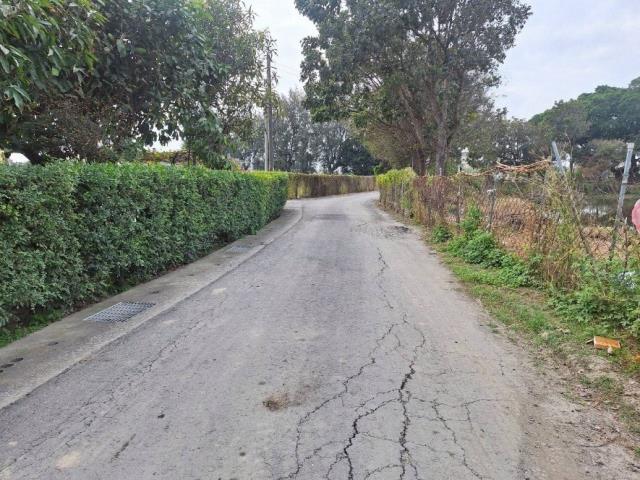 台南麻豆農地-4