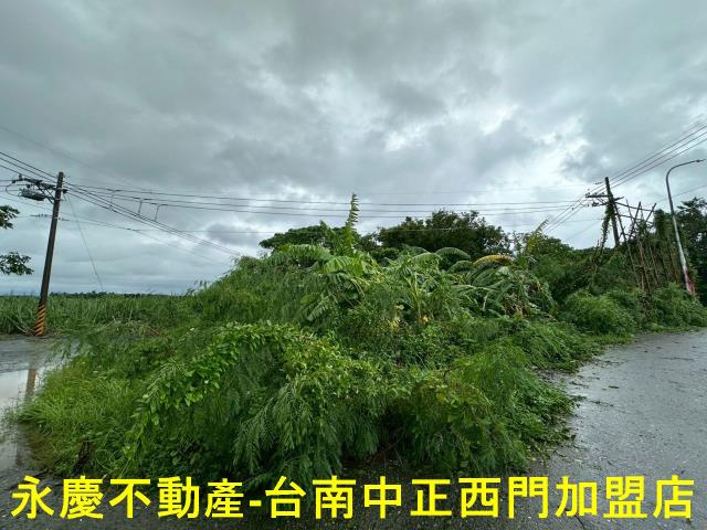 台南山上農地-9