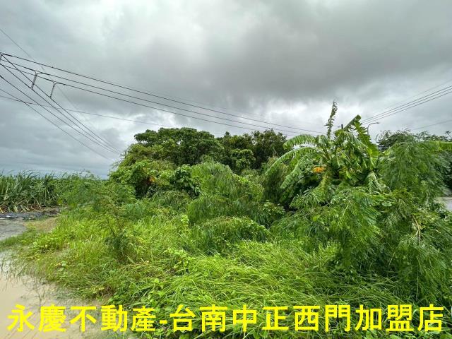 台南山上農地-1