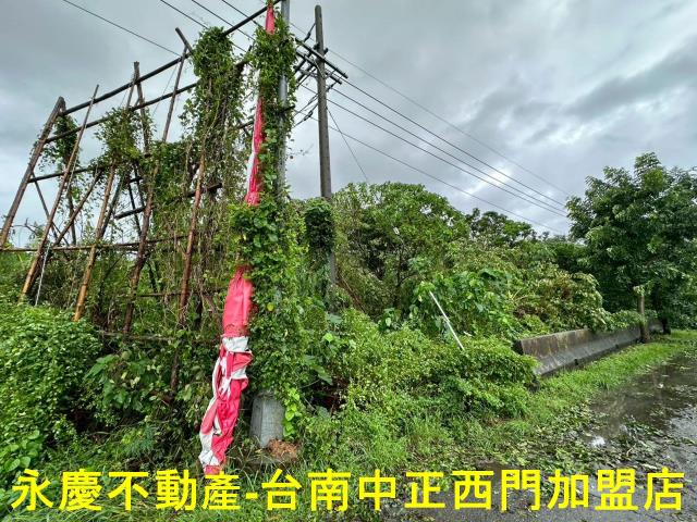 台南山上農地-6