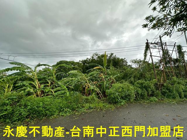 台南山上農地-8