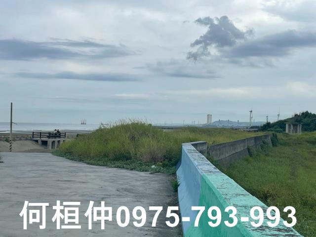 苗栗苑裡農地-4