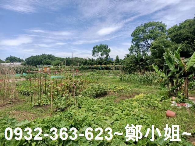 桃園區農地-7
