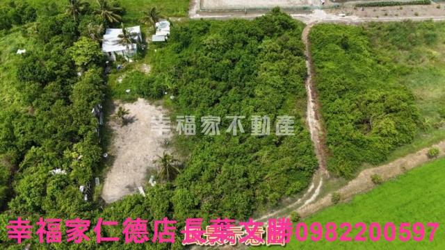 台南安南農地-4