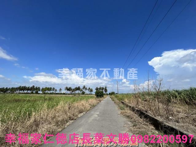 台南新市農地-10