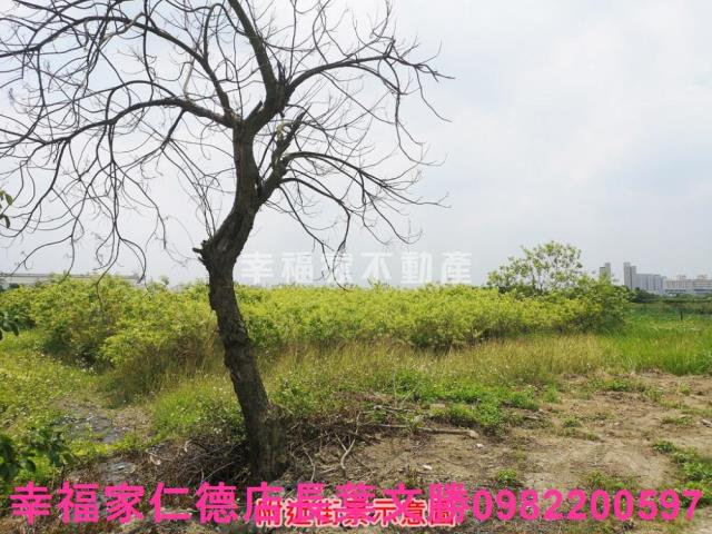 台南善化農地-4