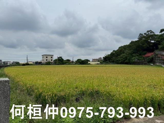苗栗頭份農地-5