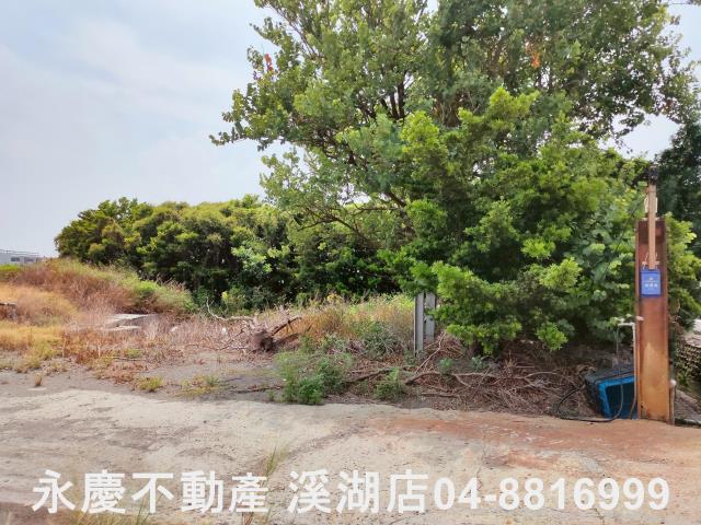 埔鹽農地-9