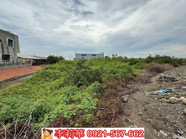 仁德農地-4