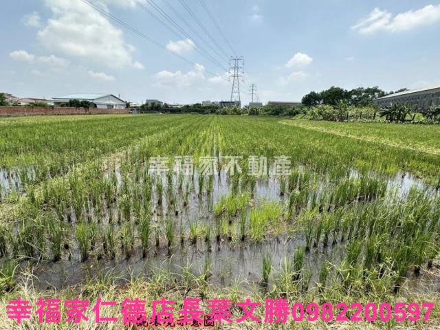 台南農地-4