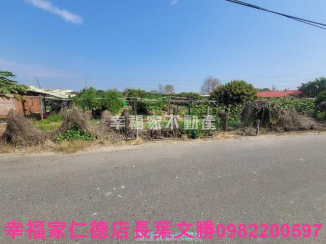 台南仁德農地-9