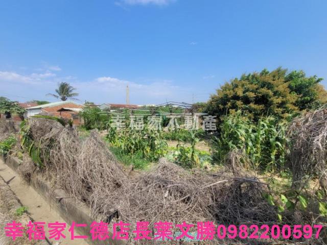 台南仁德農地-1