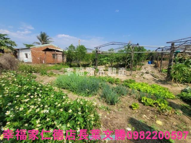 台南仁德農地-2