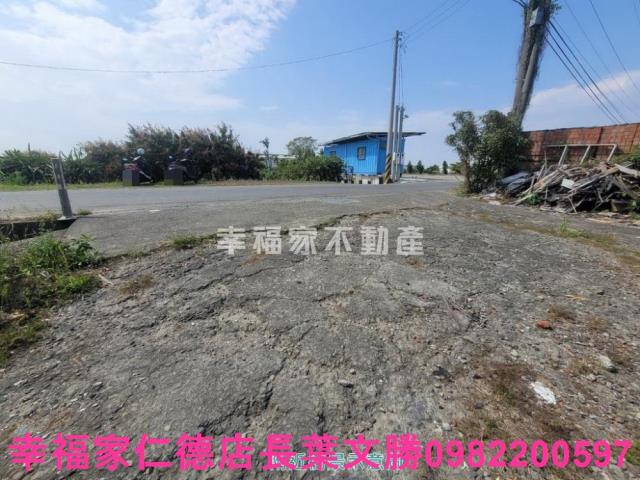 台南仁德農地-3