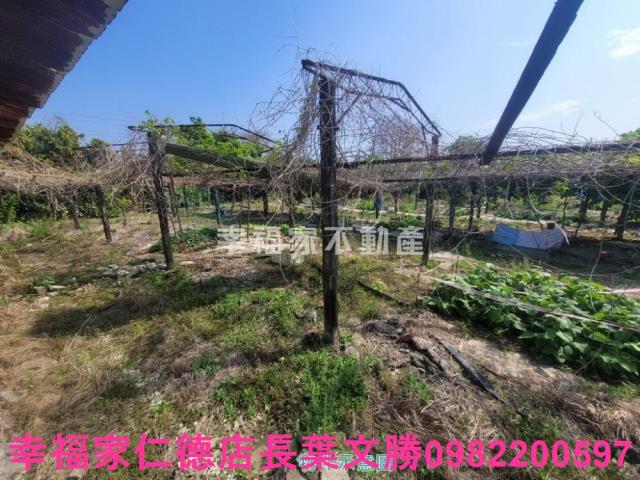 台南仁德農地-4