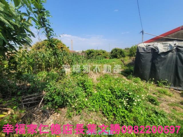 台南仁德農地-8