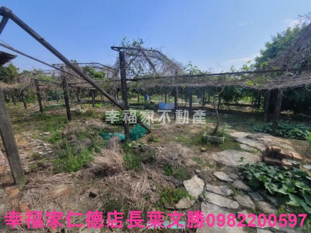 台南仁德農地-9