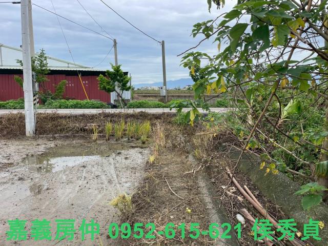 嘉義民雄農地-5