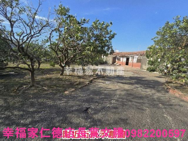 麻豆農地-13
