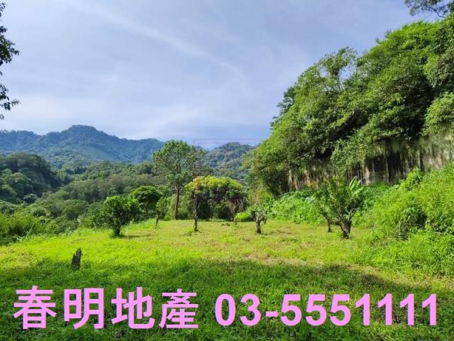 新竹農地-4