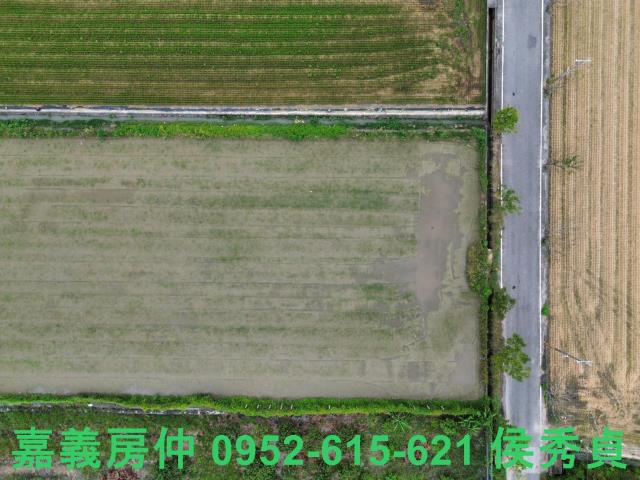 嘉義農地-5
