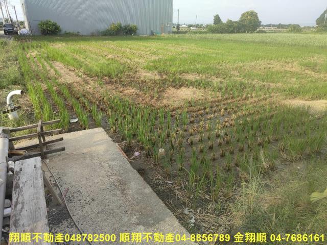 彰化溪湖農地-5