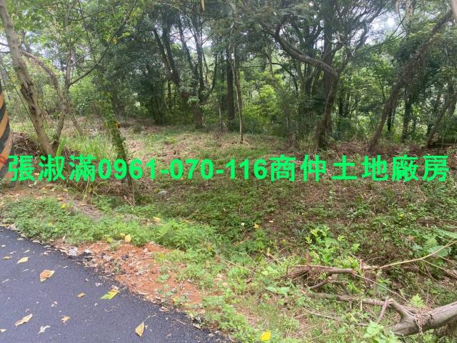 新竹關西農地-0