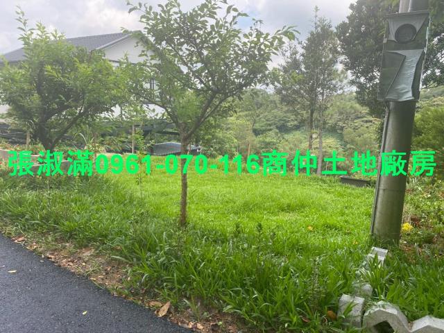 新竹關西農地-1