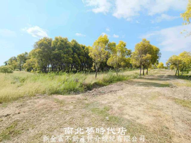 台南六甲農地-7