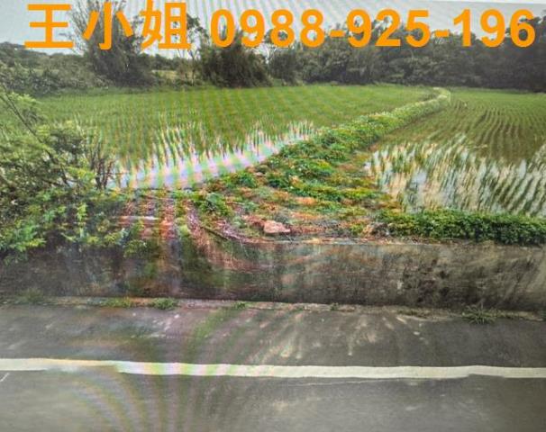 桃園新屋農地-0