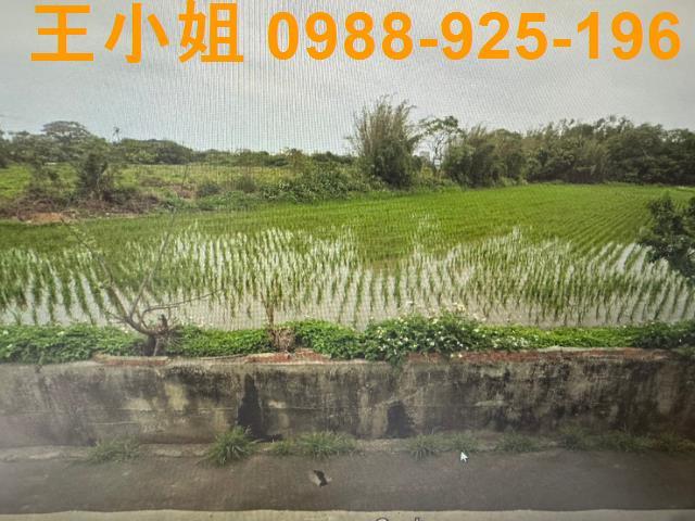 桃園新屋農地-1