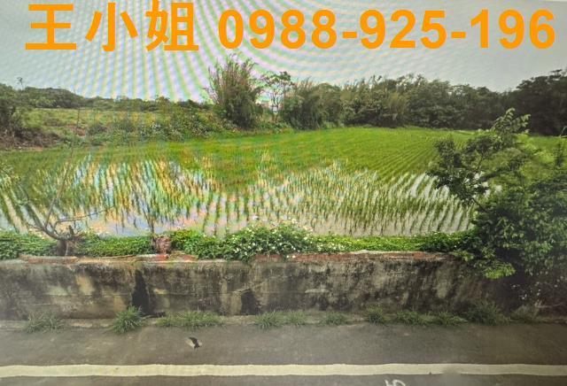 桃園新屋農地-2