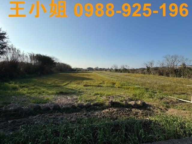 桃園新屋農地-2