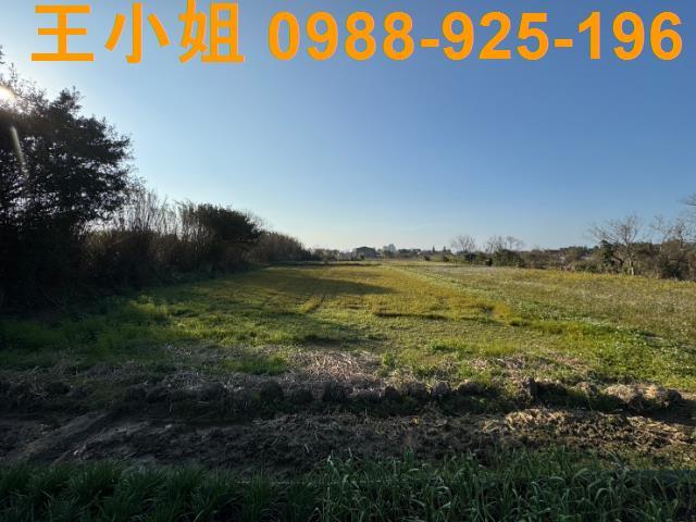 桃園新屋農地-3