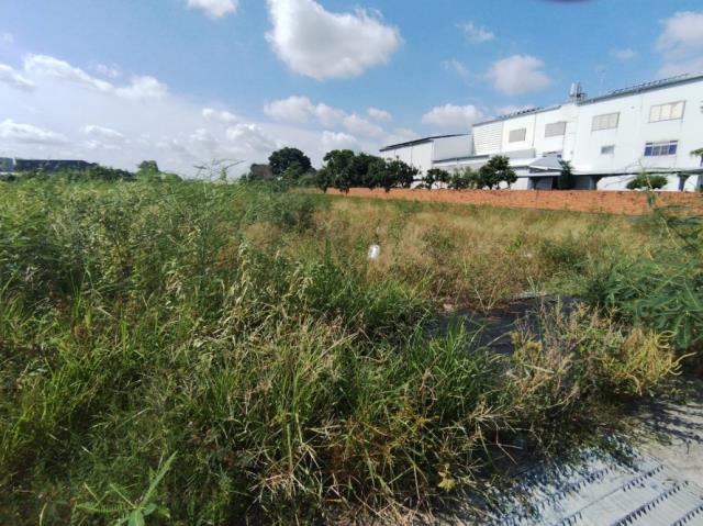 台南永康農地-1