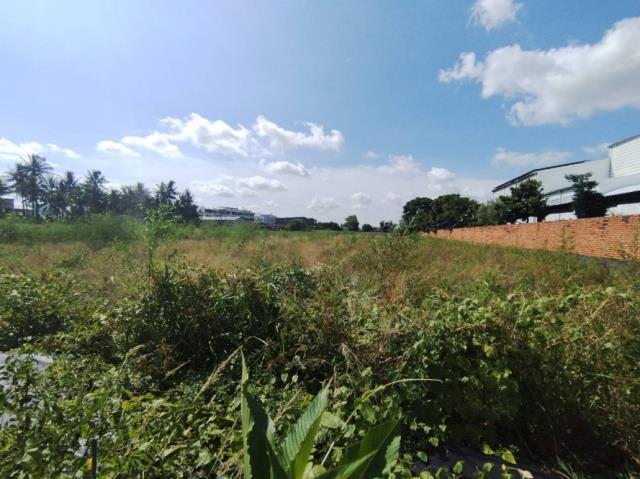 台南永康農地-4