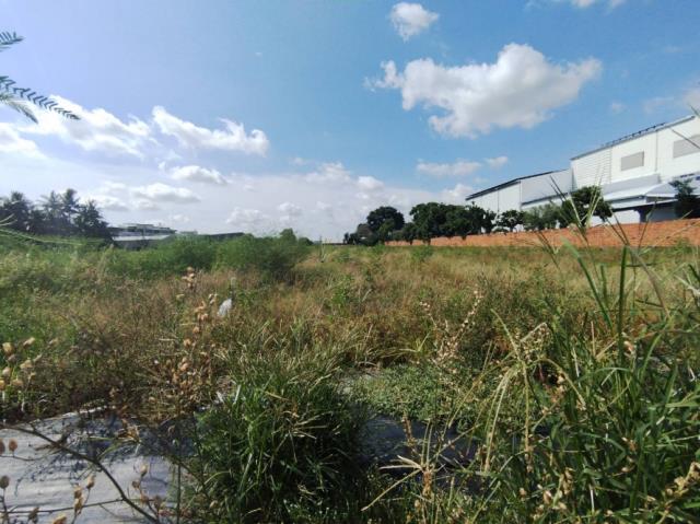 台南永康農地-6