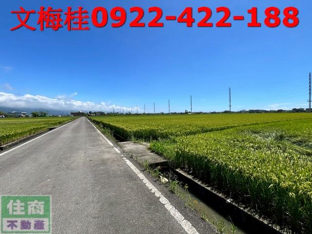 壯圍農地-1