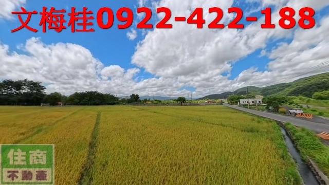 員山農地-2