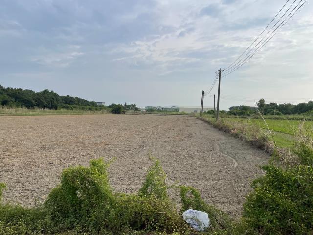 梓官農地-4
