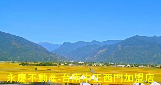 池上農地-10